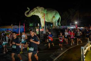 BIB: 
                            <button type="button" onclick="openModal(26552294)" class="btn btn-primary btn-sm float-right btn-popup" data-toggle="modal" data-target=".modal-high-quality">
                        <i class="fas fa-shopping-cart"></i> Add to Cart
                    </button>
                                            <button type="button" onclick="isThisMe(26552294, true)" class="btn btn-success btn-sm float-right btn-popup btn-isme hidden" data-toggle="tooltip" data-placement="bottom" title="นี่คือรูปของคุณใช่ไหม คลิกที่นี่เพื่อเอาเข้าอัลบั้ม">
                        <i class="fas fa-plus"></i> Add to album
                    </button>
                    <button type="button" onclick="isThisMe(26552294, false)" class="btn btn-warning btn-sm float-right btn-popup btn-isnotme hidden">
                        <i class="fas fa-ban"></i> Remove from album
                    </button>